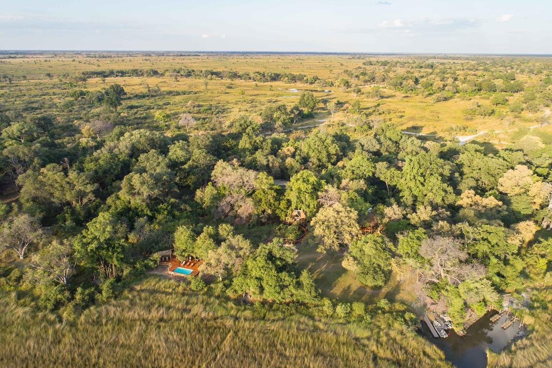Moremi Game Reserve Safaris: Botswana's Wildlife Jewel Explored