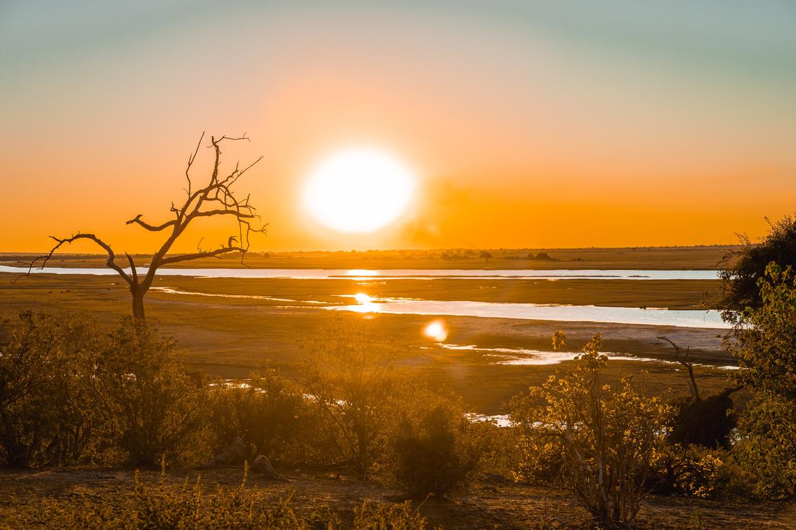 Guardians of the Green: Kasane Forest Reserve's Vital Role