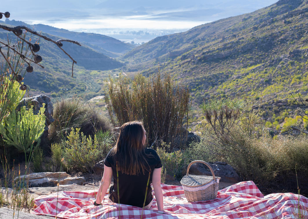 Discovering Piekenierskloof Mountain Lodge: A Citrusdal Gem in South Africa