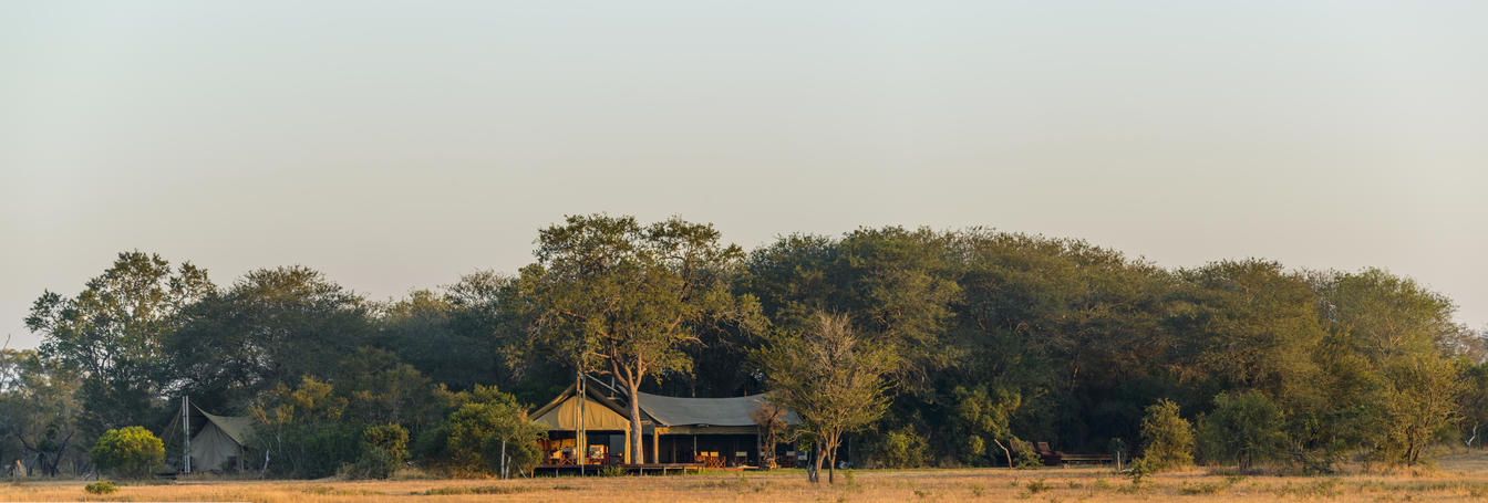 Plains Camp Home of Rhino Walking Safaris