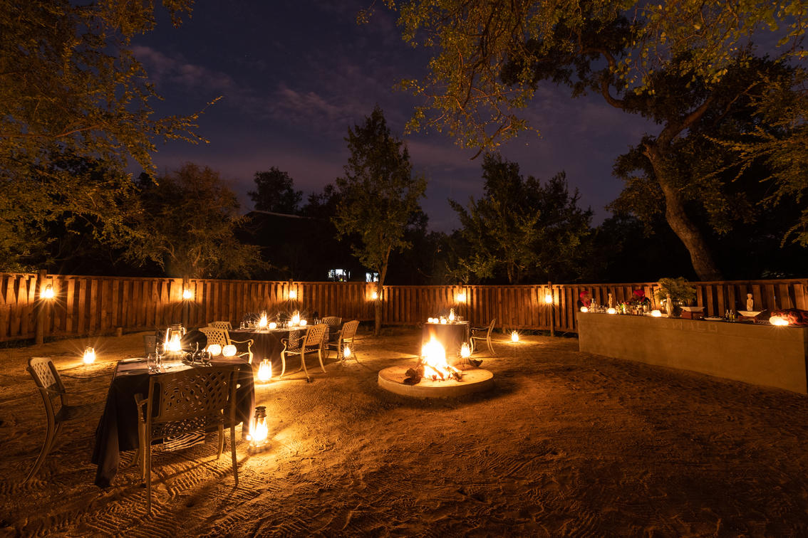 Manyeleti Private Game Reserve: A Prime Safari Destination