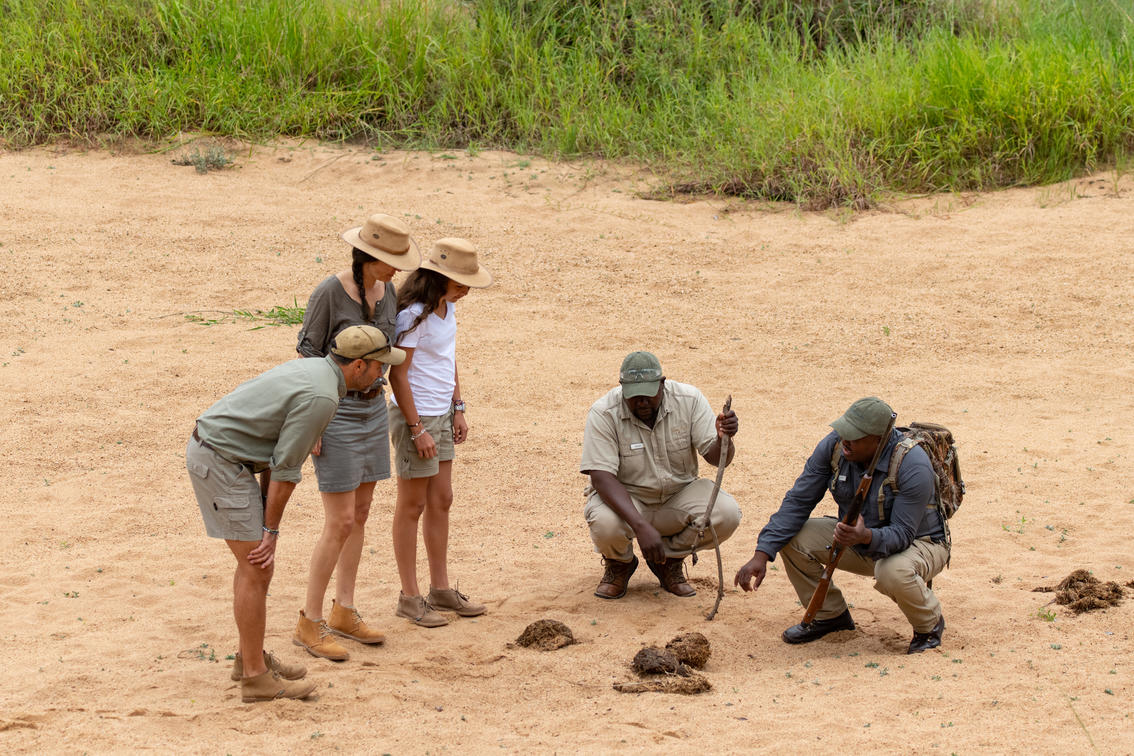 Thornybush Game Lodge