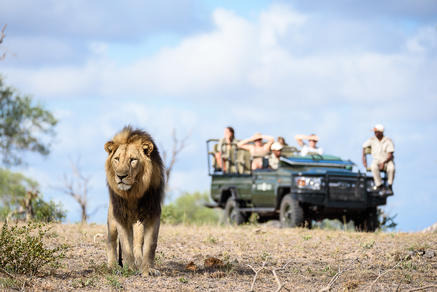 Sabi Sabi Earth Lodge