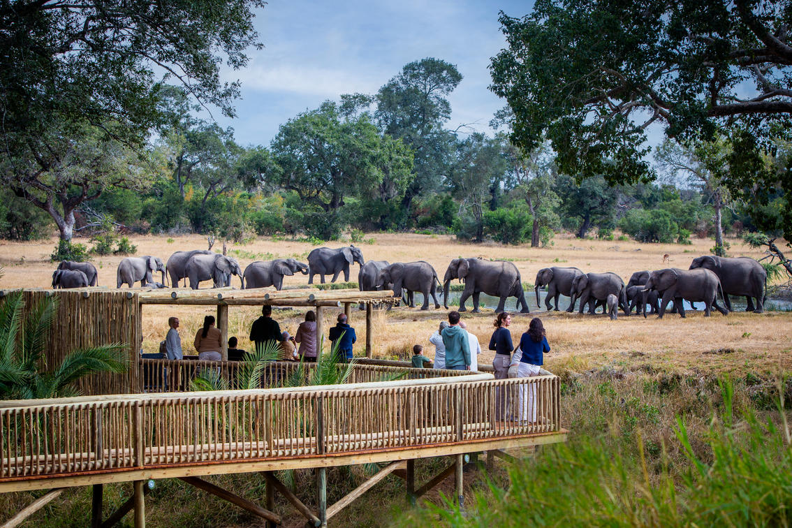 Sabi Sabi Bush Lodge