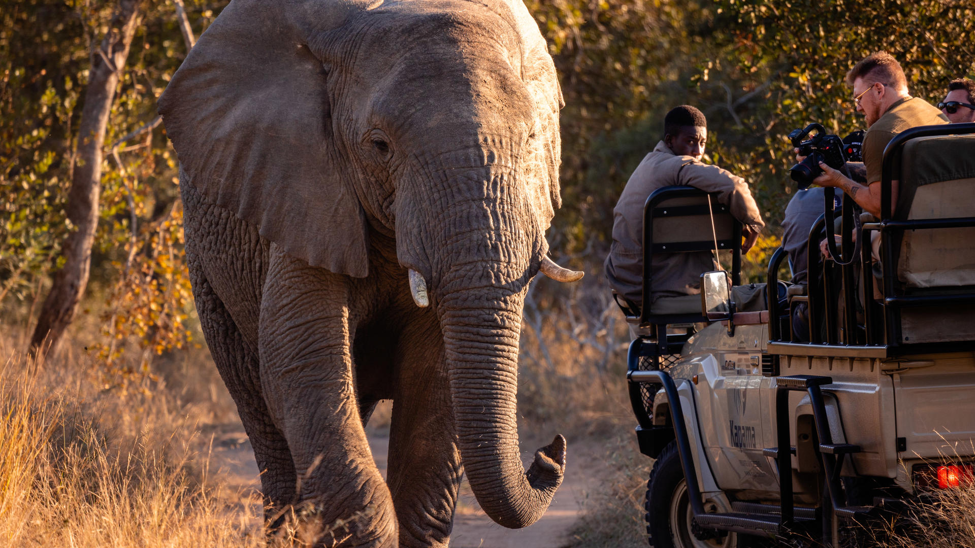 Keepers of the Wild: Kapama Private Game Reserve's Conservation Efforts