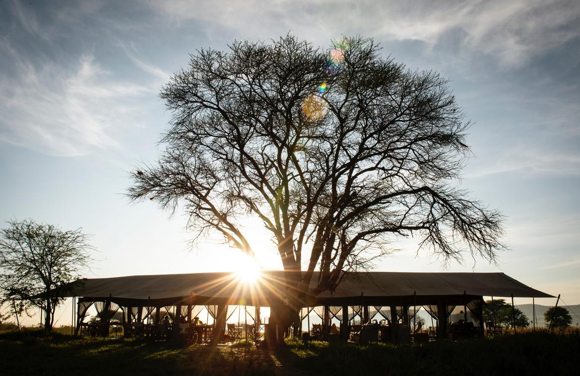 Serengeti Safari Camp West