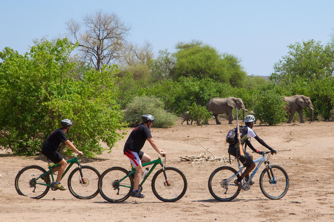 Mashatu Game Reserve