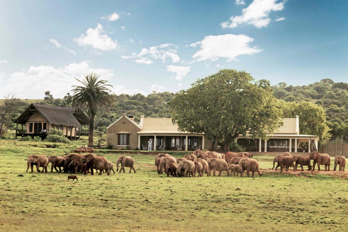 Your Essential Guide to Addo Elephant National Park, South Africa
