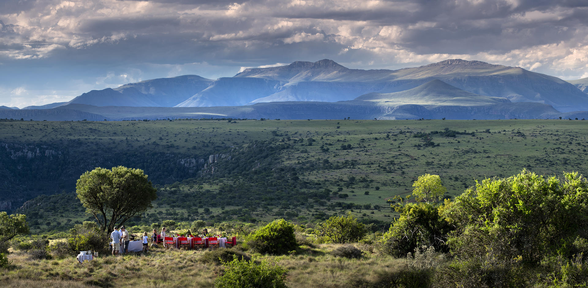 Samara Karoo Reserve: Essential Tips for an Memorable Safari
