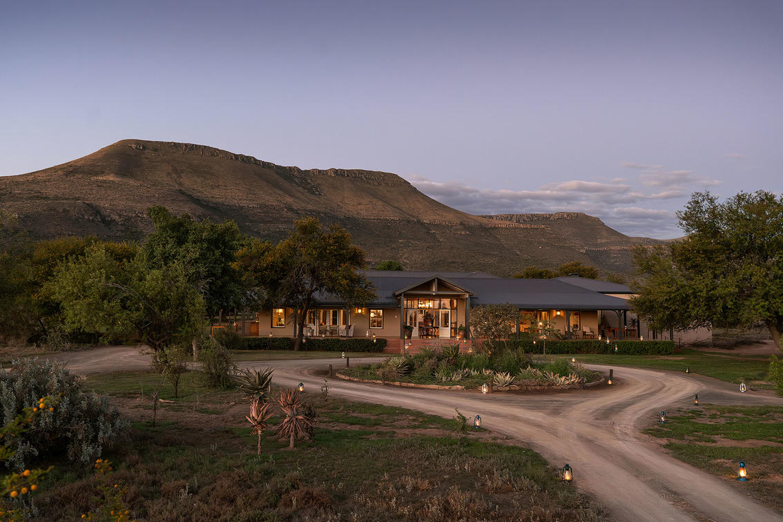 Karoo Safari: Unveiling South Africa's Unique Wilderness