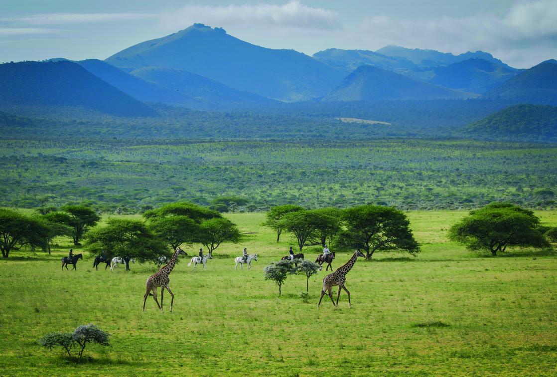 Vital Tips for Your Chyulu Hills National Park Safari