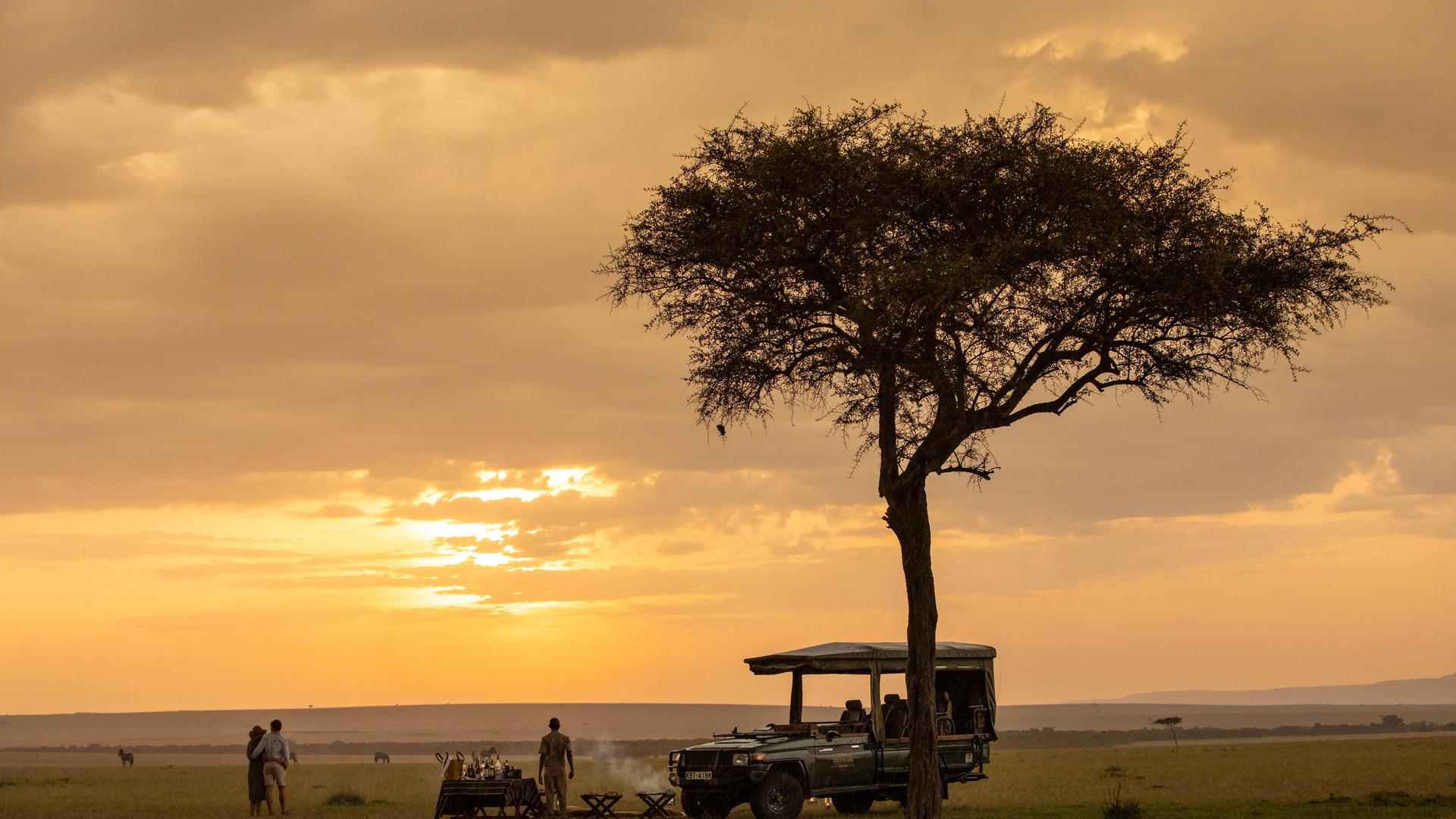 Mara Plains Camp