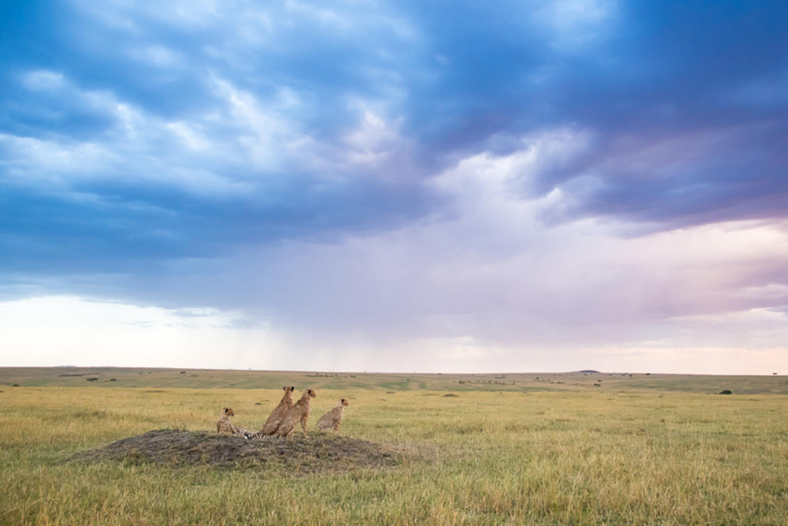 Lerai Safari Camp