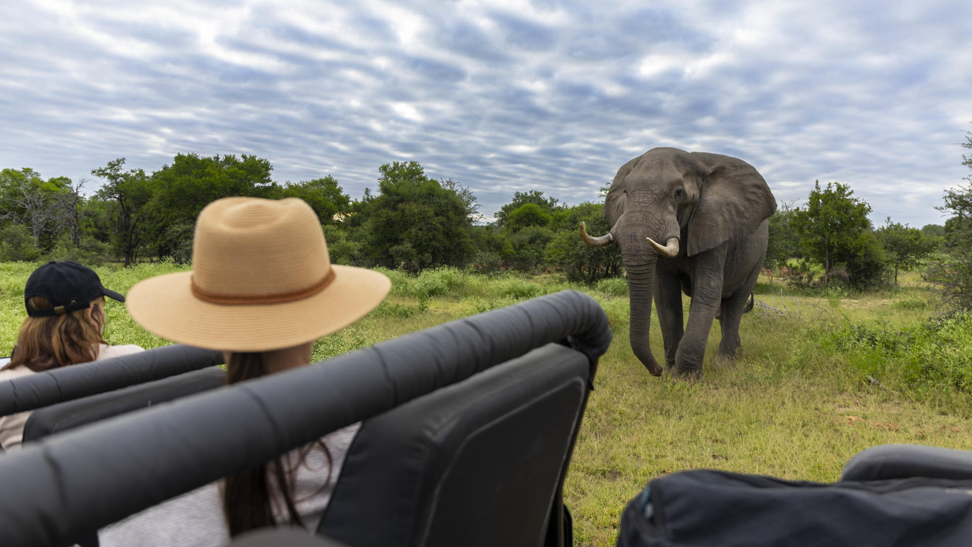 Lion Sands Narina Lodge