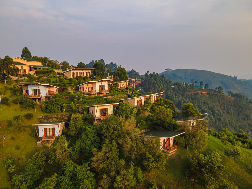 Gorilla Heights Lodge