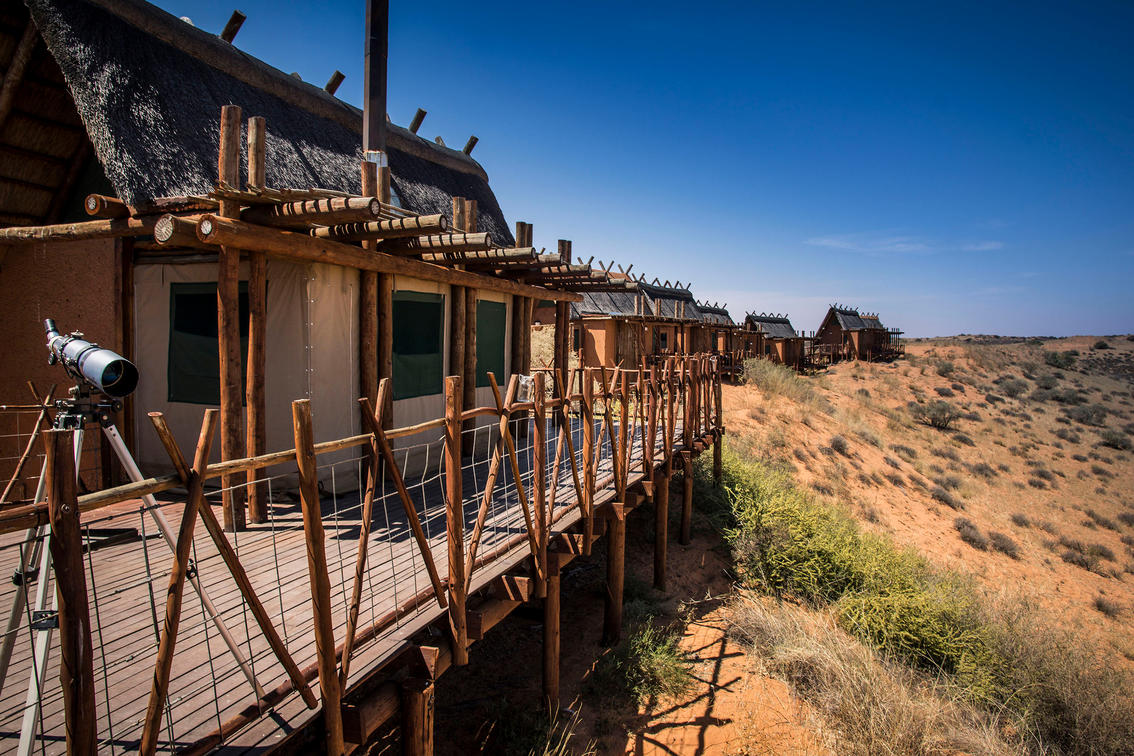 Kgalagadi Transfrontier Park (South Africa)