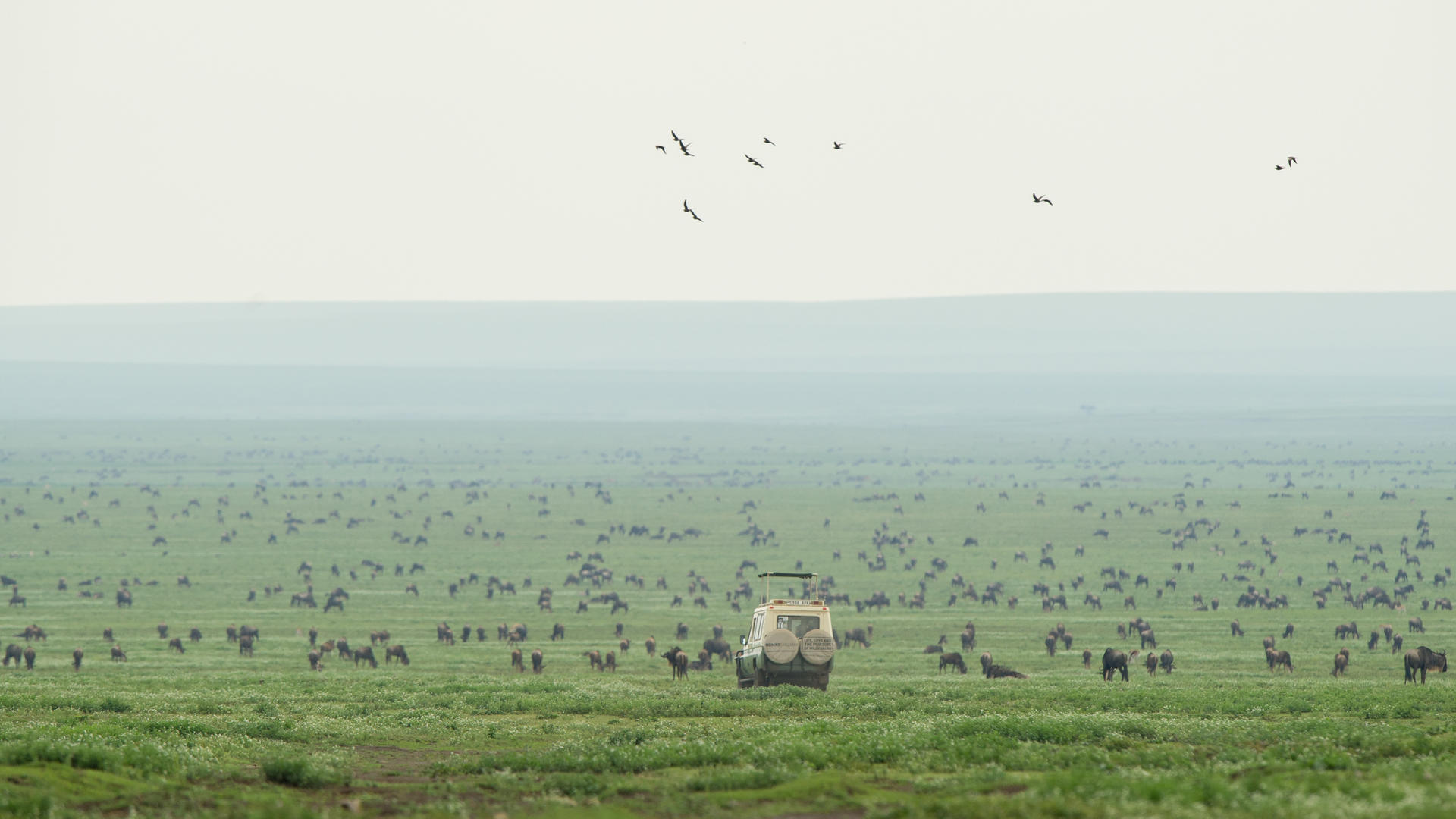 Serengeti Safari Camp South