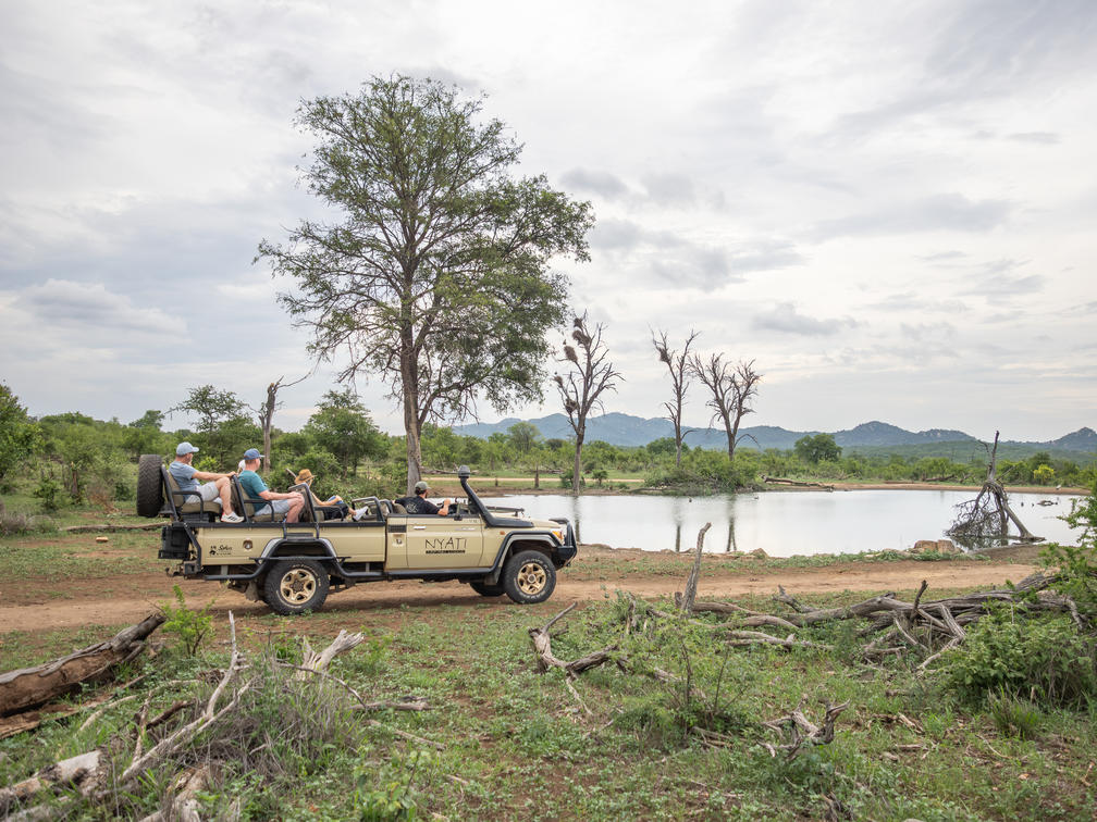 Embrace the Chill: Why Winter Safaris in South Africa Offer Unforgettable Encounters