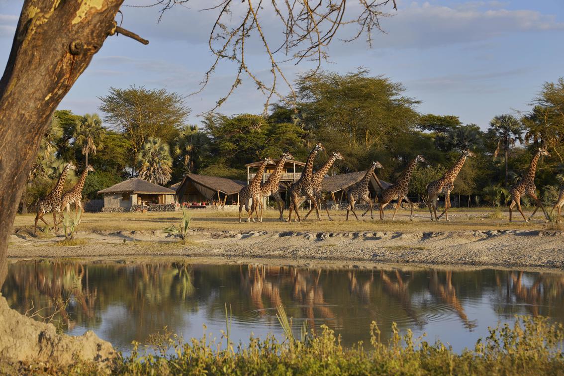 Eastern Serengeti Safari Lodges: Unforgettable Wilderness Stays