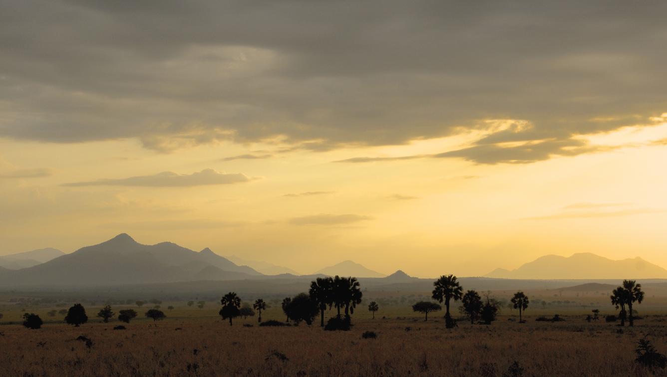 Kidepo Valley National Park: A First-Time Visitor's Guide