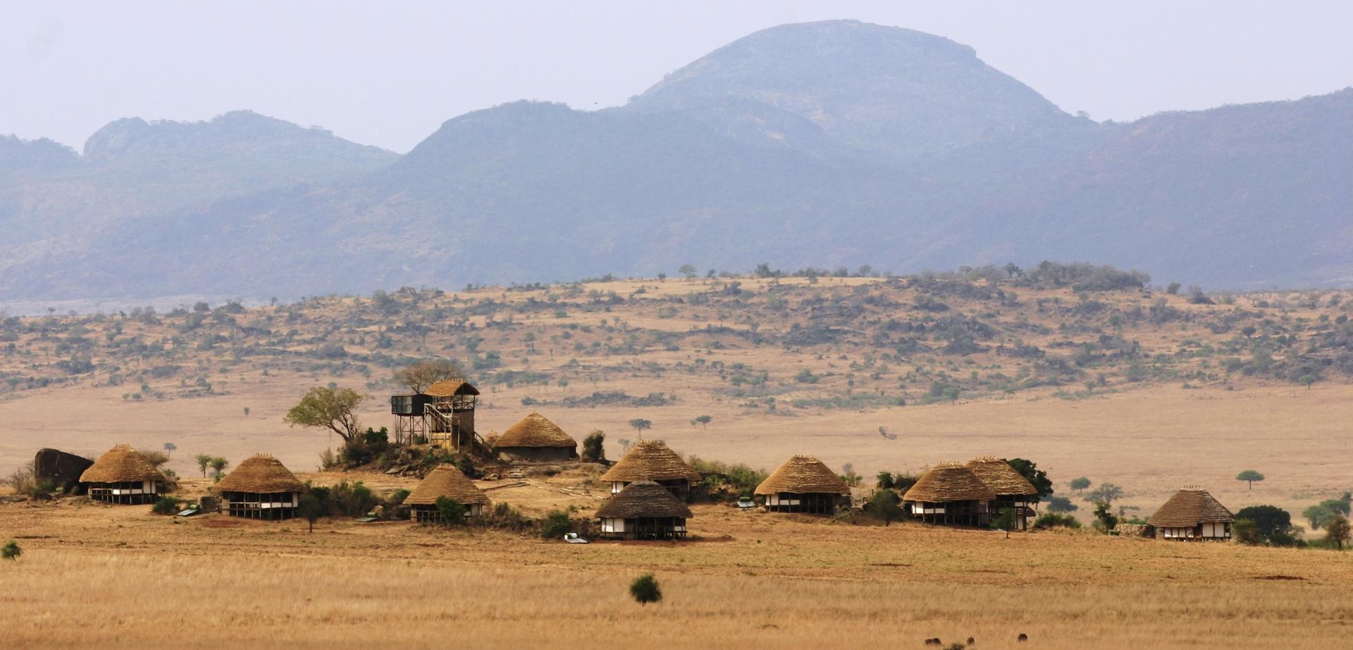 Your Definitive Guide to Uganda's Luxury Safari Packages