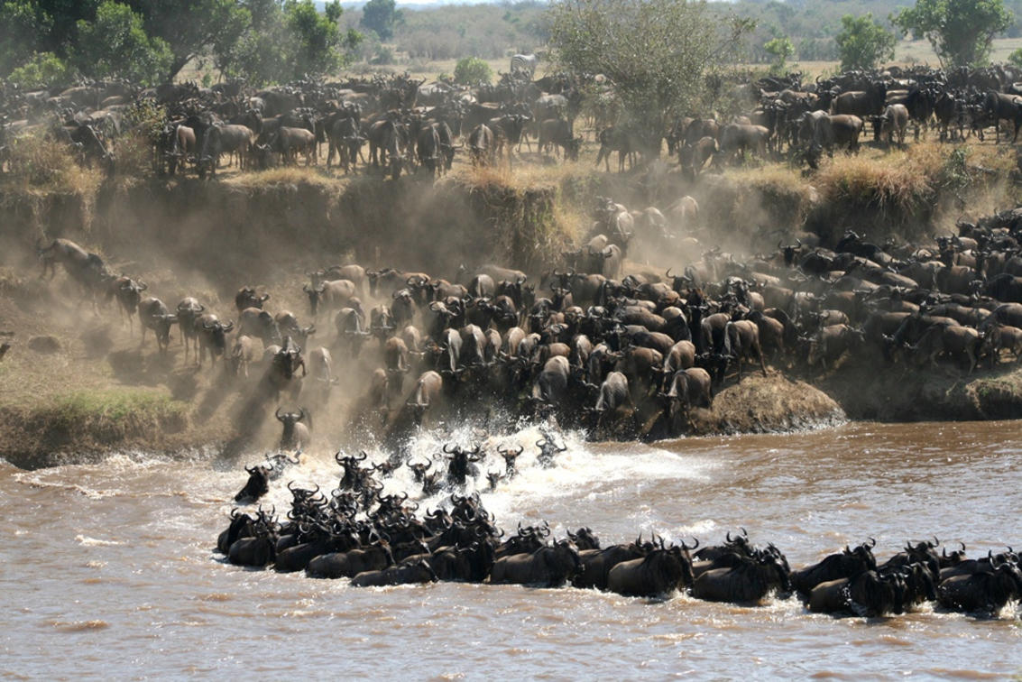 Tanzania