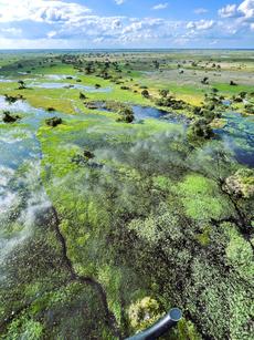 Okavango Panhandle
