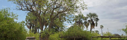 Palmwag Campsite Gondwana Collection Namibia