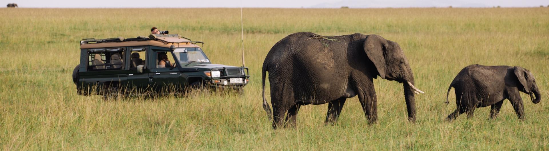 Soroi Mara Bush Camp