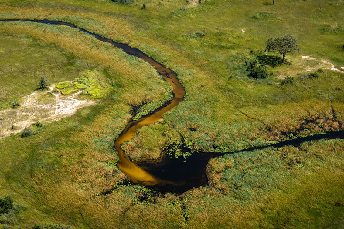How the Okavango Delta Floods Months After Local Rains End