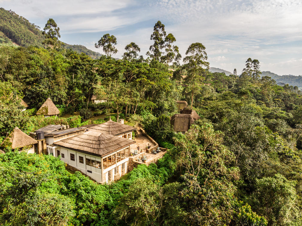 Bwindi Impenetrable Forest National Park