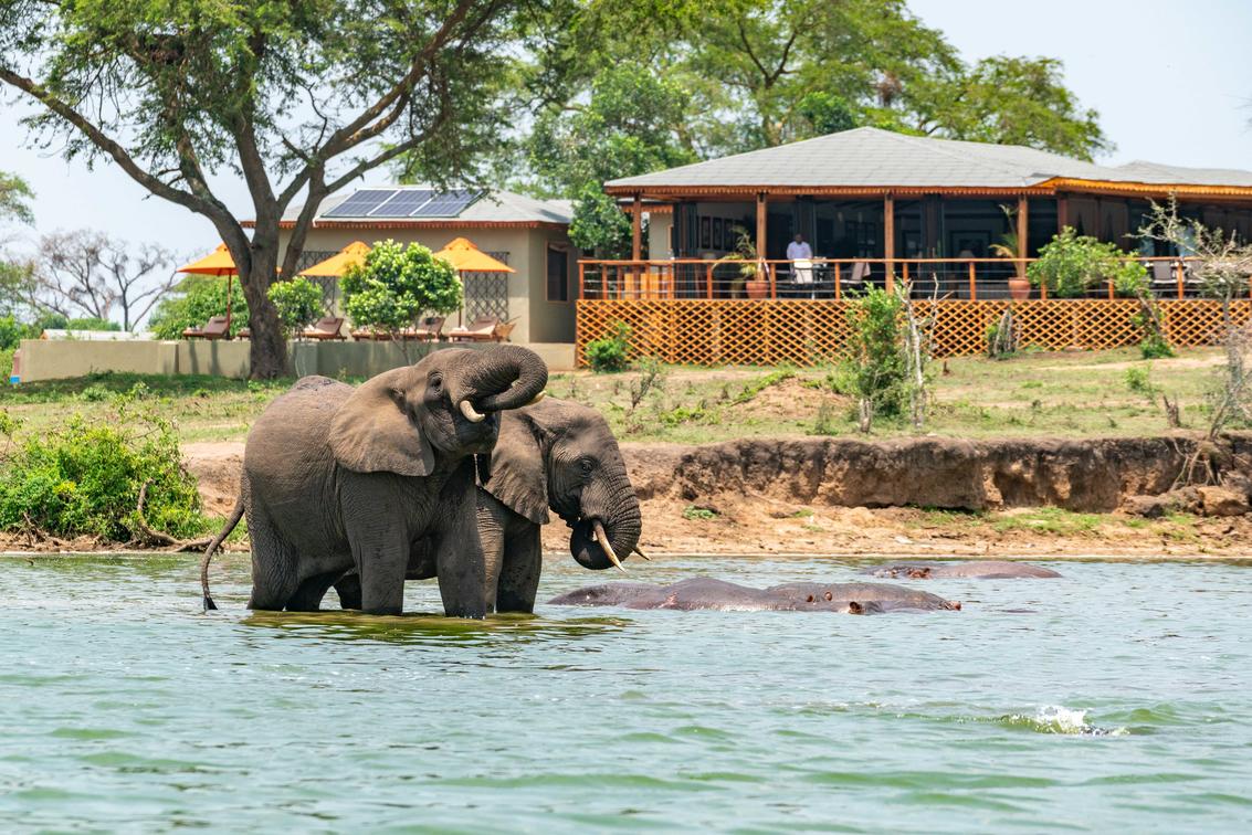 Safeguarding Uganda's Crown Jewel: Queen Elizabeth National Park