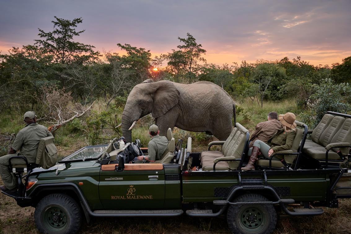 Your Ultimate Kruger National Park Safari Experience
