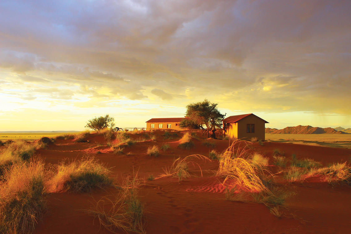 How to Plan a Cross-Border Safari from Namibia's Kalahari to Botswana's Okavango Delta