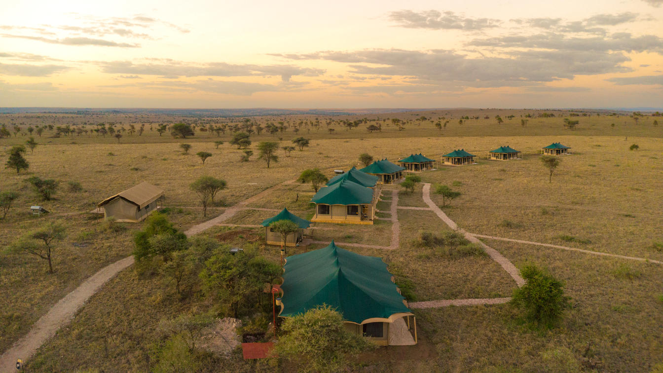 Serengeti Safari: Essential Tips for an Unforgettable Journey