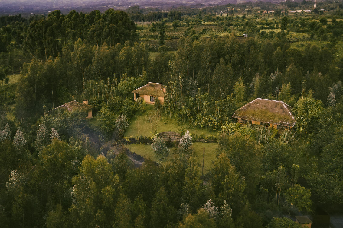Rwanda's Premier Luxury Safaris: An Unforgettable African Journey