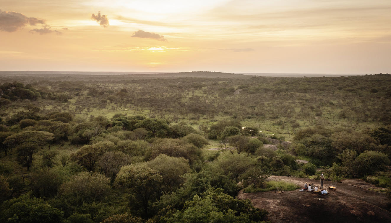 Discovering the Finest Safari Lodges in Tanzania's Southern Serengeti