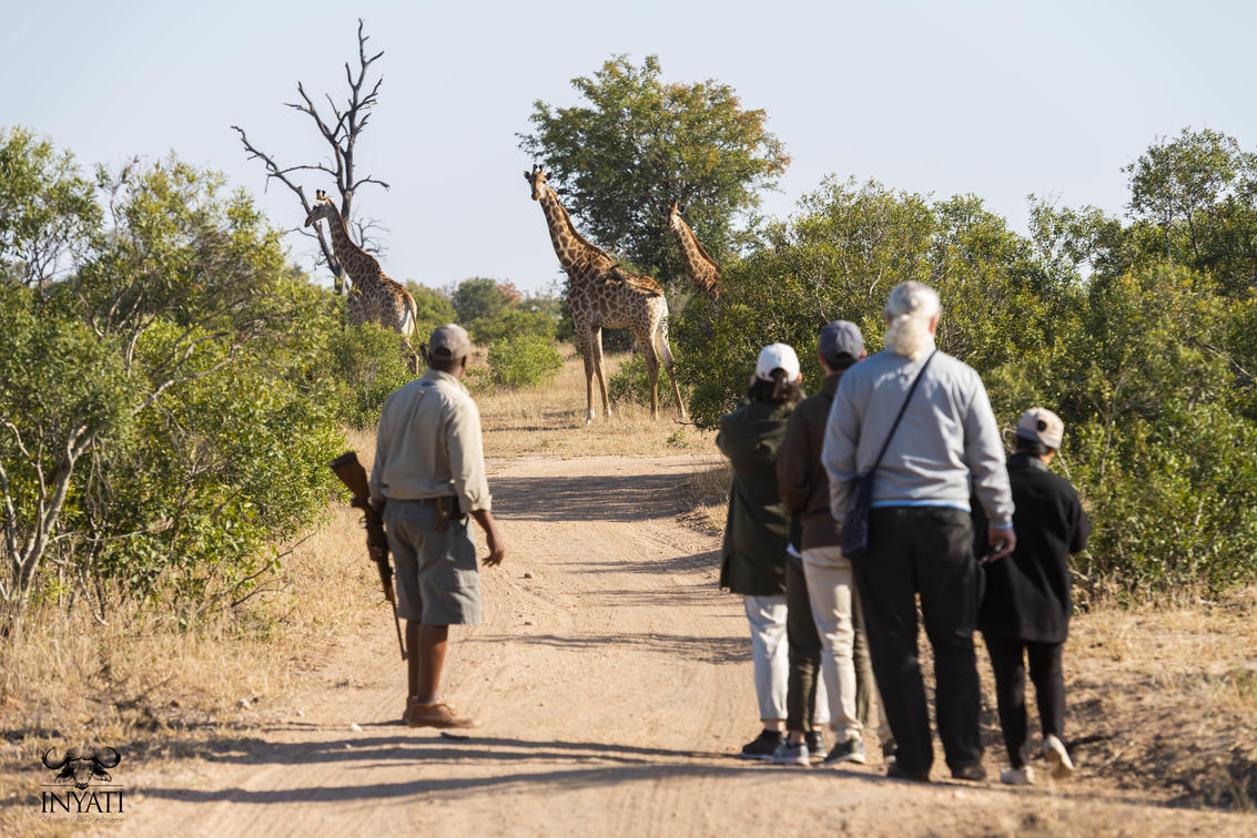 Inyati Game Lodge, Sabi Sand Nature Reserve