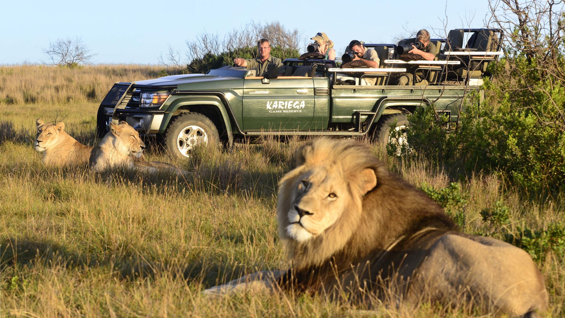 Kariega Game Reserve